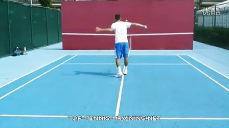 自然嵌入 自然嵌入